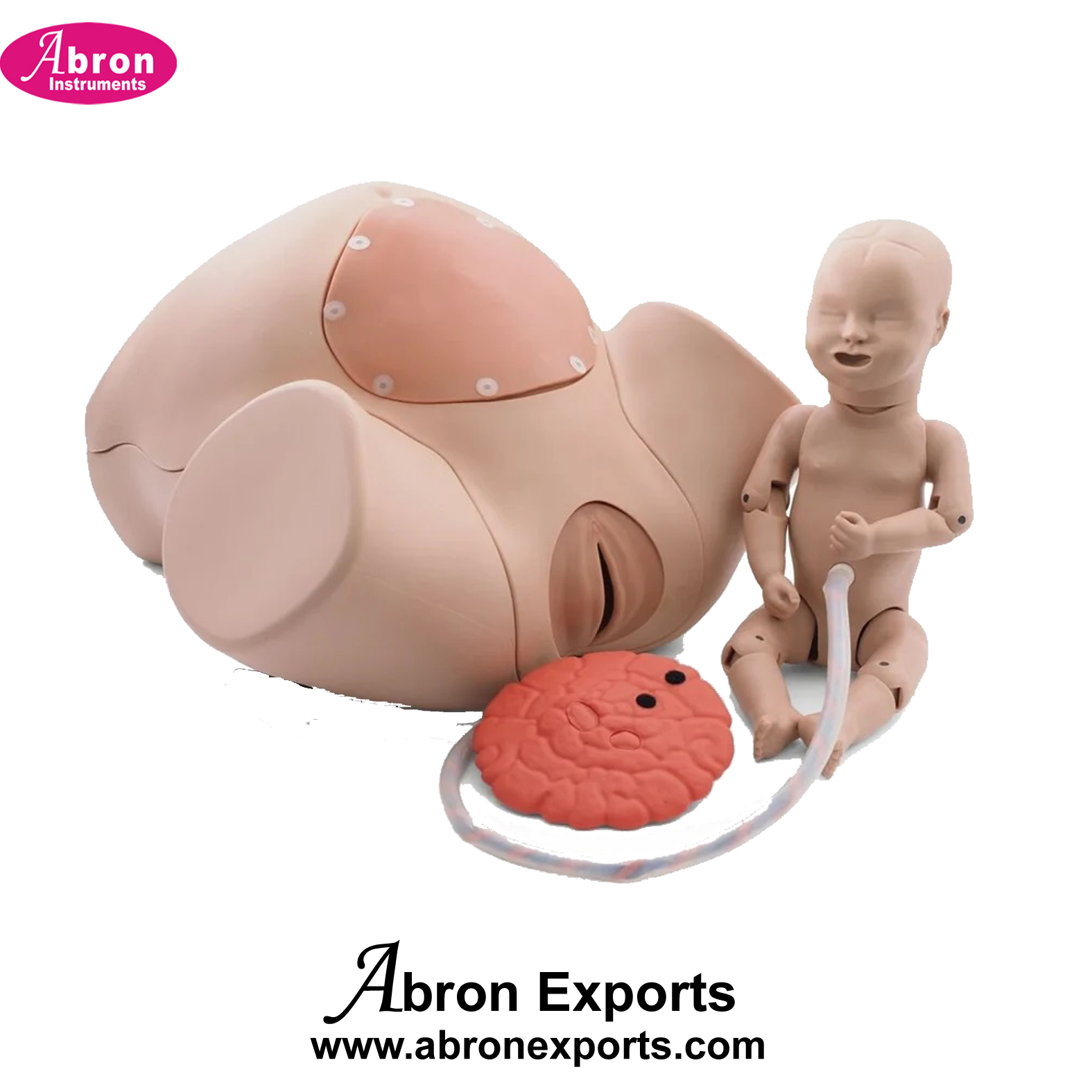 Nursing Training Kit Child Birth Skill Training Simulator With Placenta Baby Infant  Medical Collefe Practice Abron ABM-2485CBK 